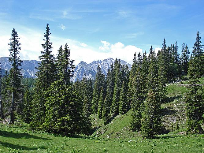 13 Wieder einmal ein Blick zum Hochschwabgebiet